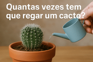 Quantas vezes tem que regar um cacto