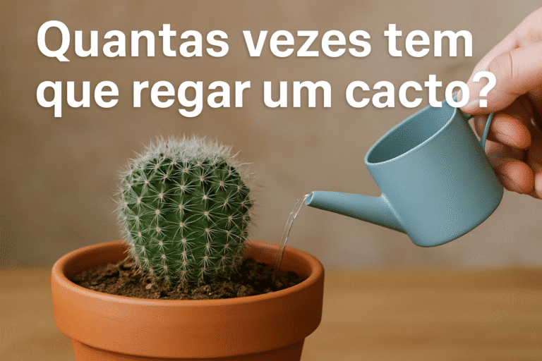 Quantas vezes tem que regar um cacto
