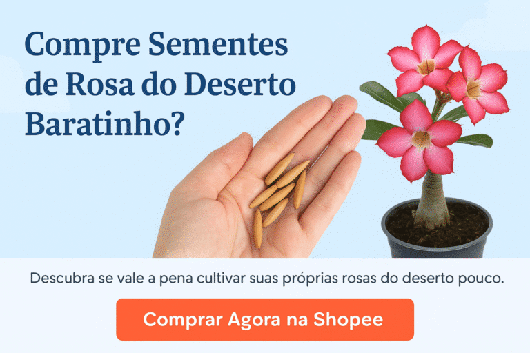 Sementes de Rosa do Deserto