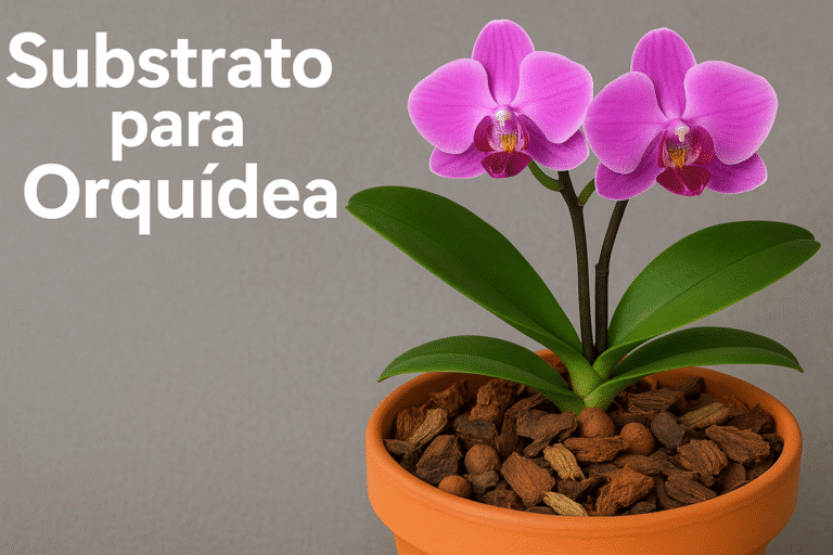 substrato adequado para orquídeas
