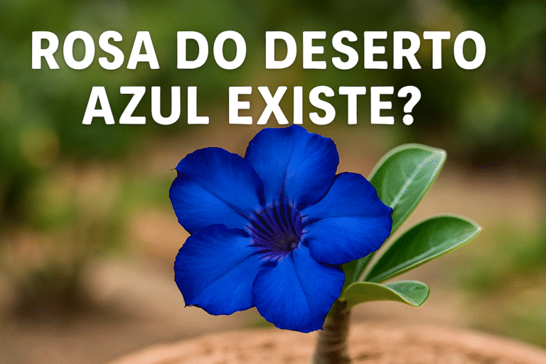 Rosa do Deserto Azul Existe