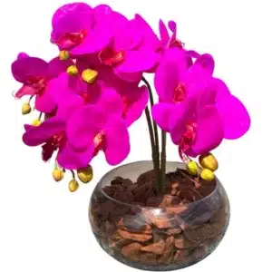 arranjo de orquideas